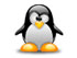 Linux Dedicated server OS
